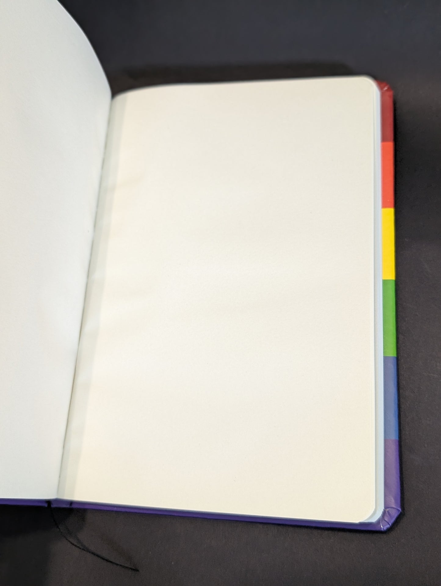 Empowered Pride - Mug & Notebook